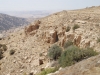 Da Amman a Petra - Vista dalla riserva naturale di Dana